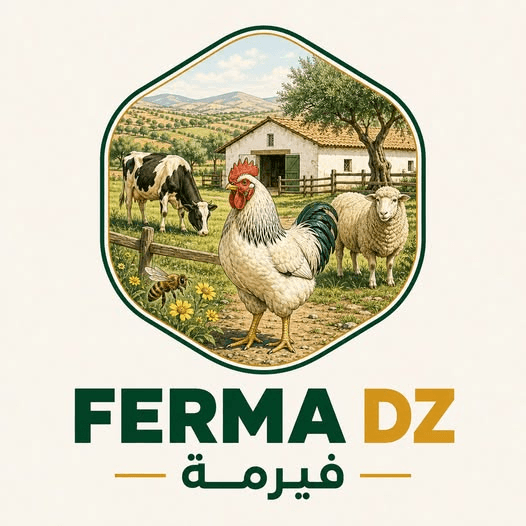 شعار FERMA DZ